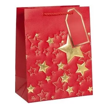 Dárková taška ARGUS Dárková papírová taška (18 x 23 cm) 08499902