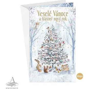 ARGUS Vánoční přání s kapsou na peníze 11-6514c