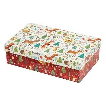 ARGUS Dárková krabice vánoční papír 25360170