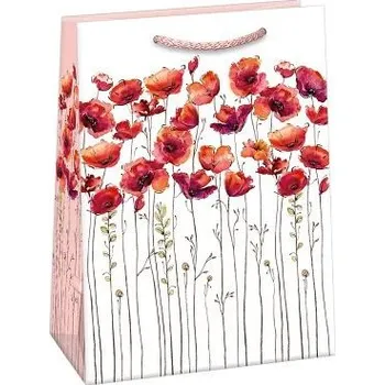 Dárková taška ARGUS Dárková papírová taška (23 x 32 cm) 07570667