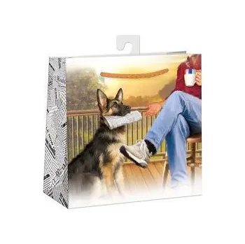 Dárková taška ARGUS Dárková papírová taška (16 x 16 cm) 07270798h