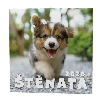 Kalendář Nástěnný kalendář 2026 Štěňata