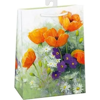 Dárková taška ARGUS Dárková papírová taška (29 x 38 cm) 07870747h