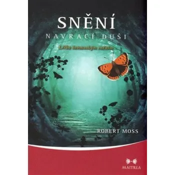 Snění navrací duši - Robert Moss