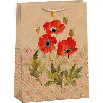 Dárková taška ARGUS Dárková papírová taška T5N (23.3 x 31.3 cm) 07540125