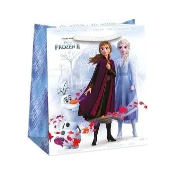 Dárková taška ARGUS Papírová dárková taška 77460691h