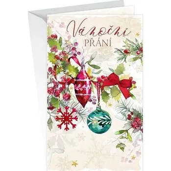 ARGUS Vánoční přání s kapsou na peníze 11-6445c