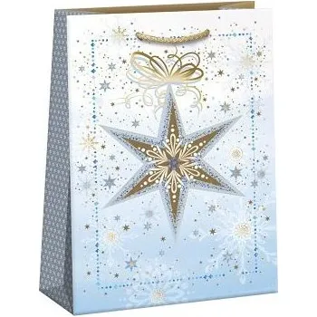 Dárková taška ARGUS Dárková papírová taška (23.5 x 33 cm) 08590159