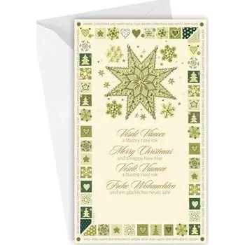 ARGUS Vánoční a novoroční přání N1-083c