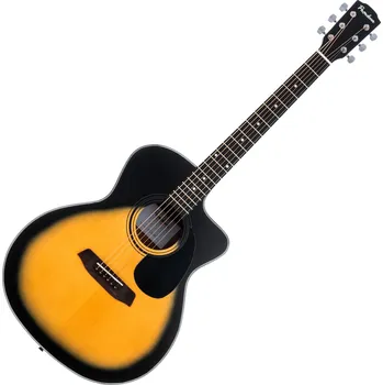 Akustická kytara Pasadena PGC-100 Sunburst Akustická kytara Jumbo (Jako nové)