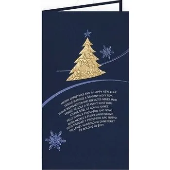 ARGUS Vánoční přání 11-994Dc