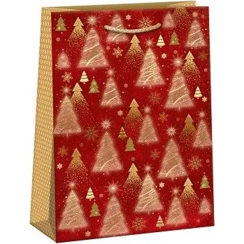 Dárková taška ARGUS Dárková papírová taška (23.5 x 33 cm) 08590161