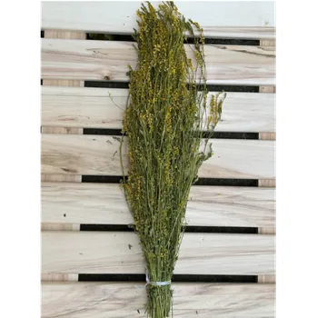 Sladký jetel – bylinkový svazek do sauny