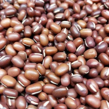 Semeno Microgreens Fazole Adzuki na microgreens, 100 g