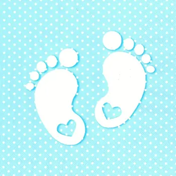 Papírový kapesník Pol-Mak Ubrousky MAKI L (20ks) Little Feet Blue 615722