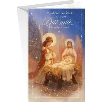 ARGUS Vánoční přání 11-6434c