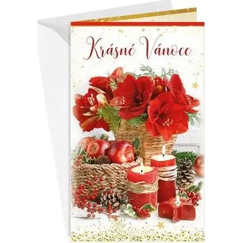 ARGUS Vánoční přání 11-6459c