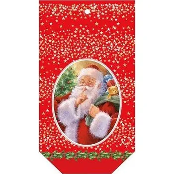 Dárková taška ARGUS Mikulášsky sáček dárkový pytlík 22 x 41 cm 20111015