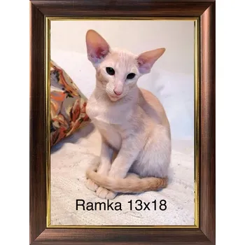 Obraz Klasický rámeček na fotografie na zeď i na postavení 13x18 ZLATÝ Garden