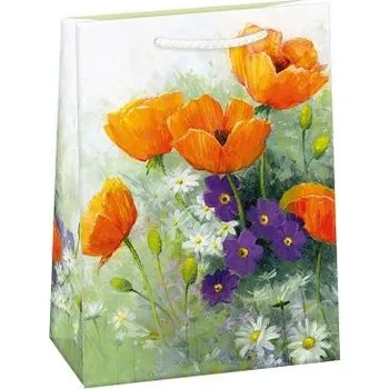 Dárková taška ARGUS Dárková papírová taška T8 (29 x 38 cm) 07870747