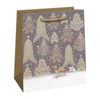 Dárková taška ARGUS Dárková papírová taška (20 x 24 cm) 08490151