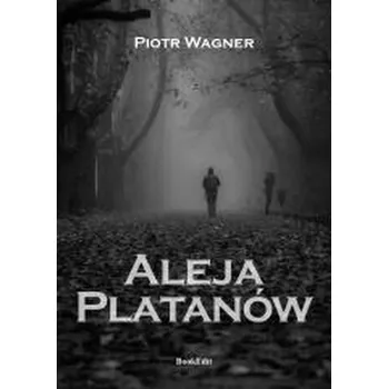 Cestování Aleja Platanów - Dominik Pojedyński, Piotr Wagner