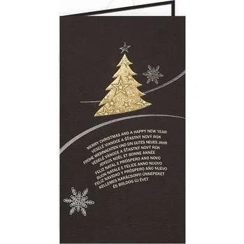 ARGUS Vánoční přání 11-994Cc