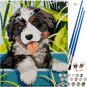 auto na autodráhu Malování podle čísel - pes - 40x30 cm