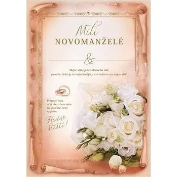 ARGUS Svatební přání 13-8006c