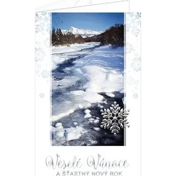 ARGUS Vánoční přání 11-782c