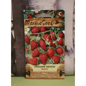 Sazenice Jahodník měsíční