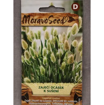 Semeno Zaječí ocásek - k sušení