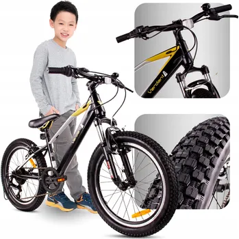 Dětské kolo Dětské kolo Sun Baby VerdantJuniper20 černozlaté, kolo 20" černé