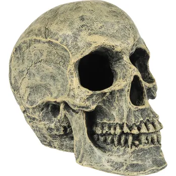 Dekorace do terária Dekorace Lidská lebka 16x10,5x13,2 cm