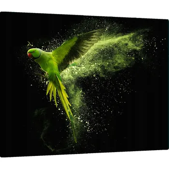 Obraz Krájecí deska TMK ArtDeko sklo 1 ks