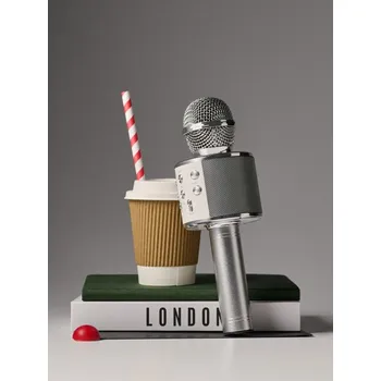 Mikrofon Sinsay - Bezdrátový mikrofon na karaoke se zvukovými efekty - šedá - 293GD-09X - 293GD-09X-ONE