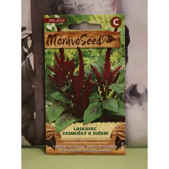 Semeno Laskavec zasmušilý - červený