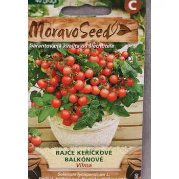 Semeno Rajče keříčkové balkonové červené VILMA