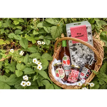 Dárkový potravinový koš KOLDOKOL Dárkový balíček JAHODA