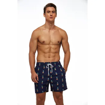 Pánské kraťasy PÁNSKÉ PLAVKY ŠORTKY KRAŤASY ANANASY L