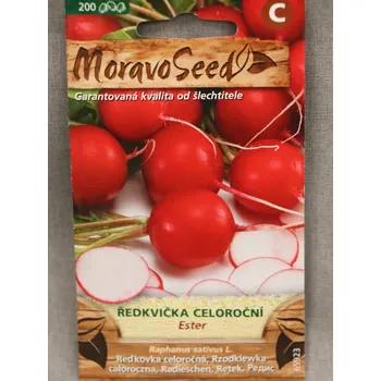 Semeno Ředkvička červená kulatá celoroční ESTER