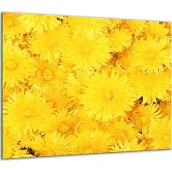 Obraz SKLENĚNÁ OCHRANNÁ DESKA NA SPORÁK 60x52 KVĚTINY