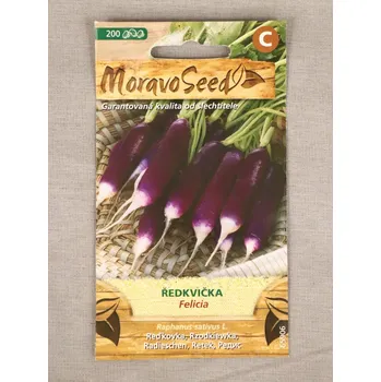 Semeno Ředkvička válcovitá fial. Felicia