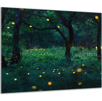 Obraz SKLENĚNÁ OCHRANNÁ DESKA NA SPORÁK 60x52 VEČER