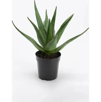 umělá květina Umělá rostlina v květináči home & lifestyle 38 cm 139769 zelená 77X