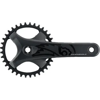 Ráfek na kolo Campagnolo kliky EKAR GT 13s 42z 175 mm