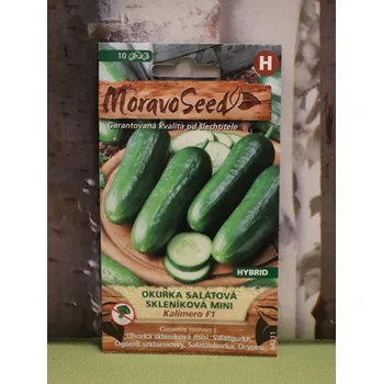 Sazenice Okurka skleníková 'Kalimero'