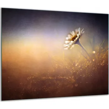 Obraz SKLENĚNÁ OCHRANNÁ DESKA NA SPORÁK 60x52 KVĚTINY