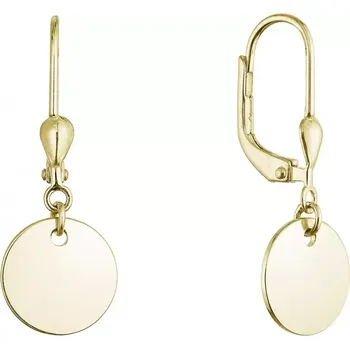 Náušnice Pozlacené stříbrné náušnice placičky 61134