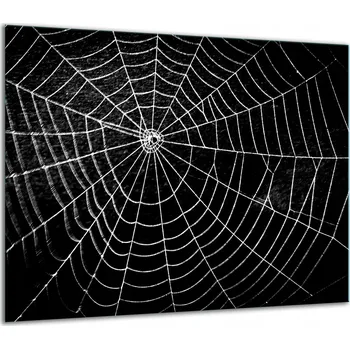 Obraz SKLENĚNÁ OCHRANNÁ DESKA NA SPORÁK 60x52 ČERNÁ